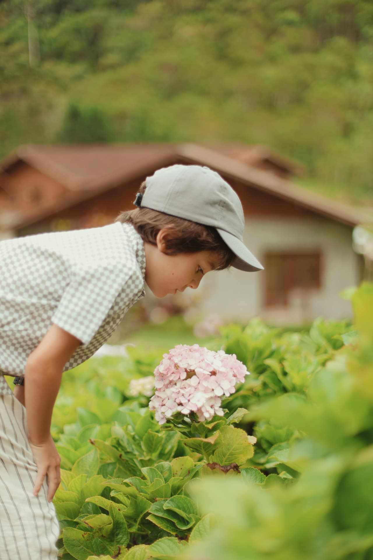 Criança nos jardins de hortênsias do resort