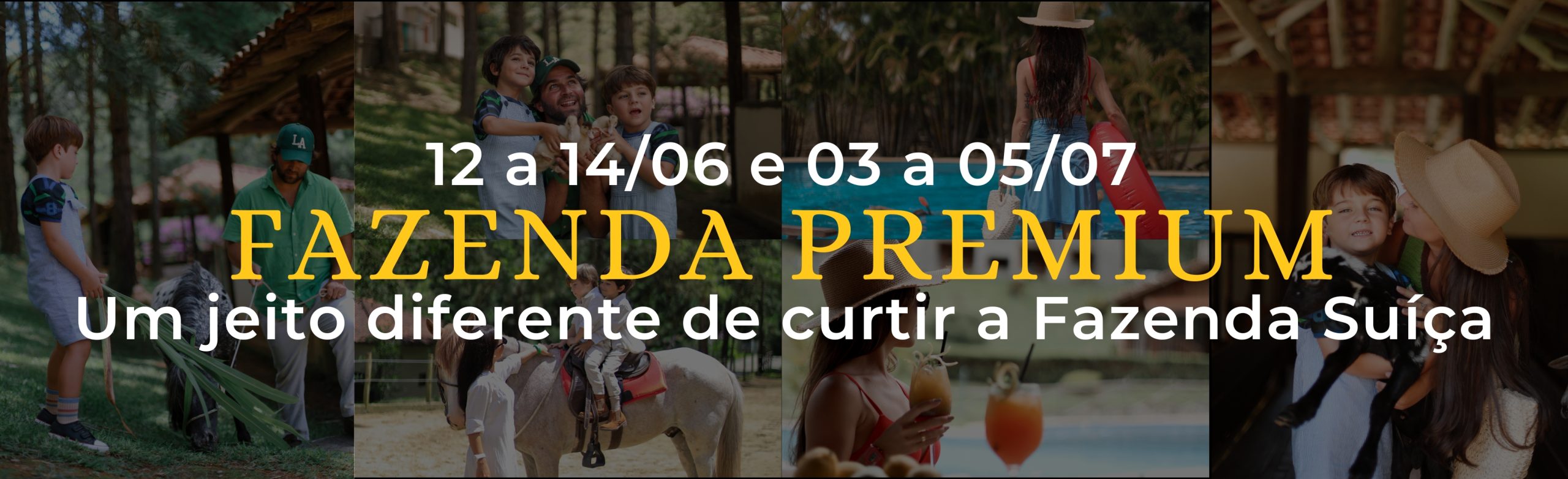 fazenda premium