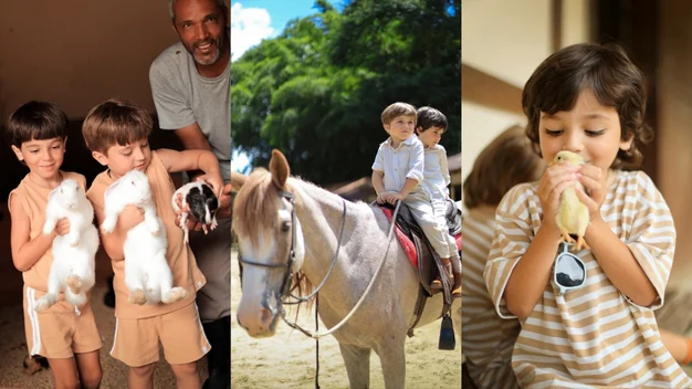 Fazendinha: contato com animais e passeio a cavalo